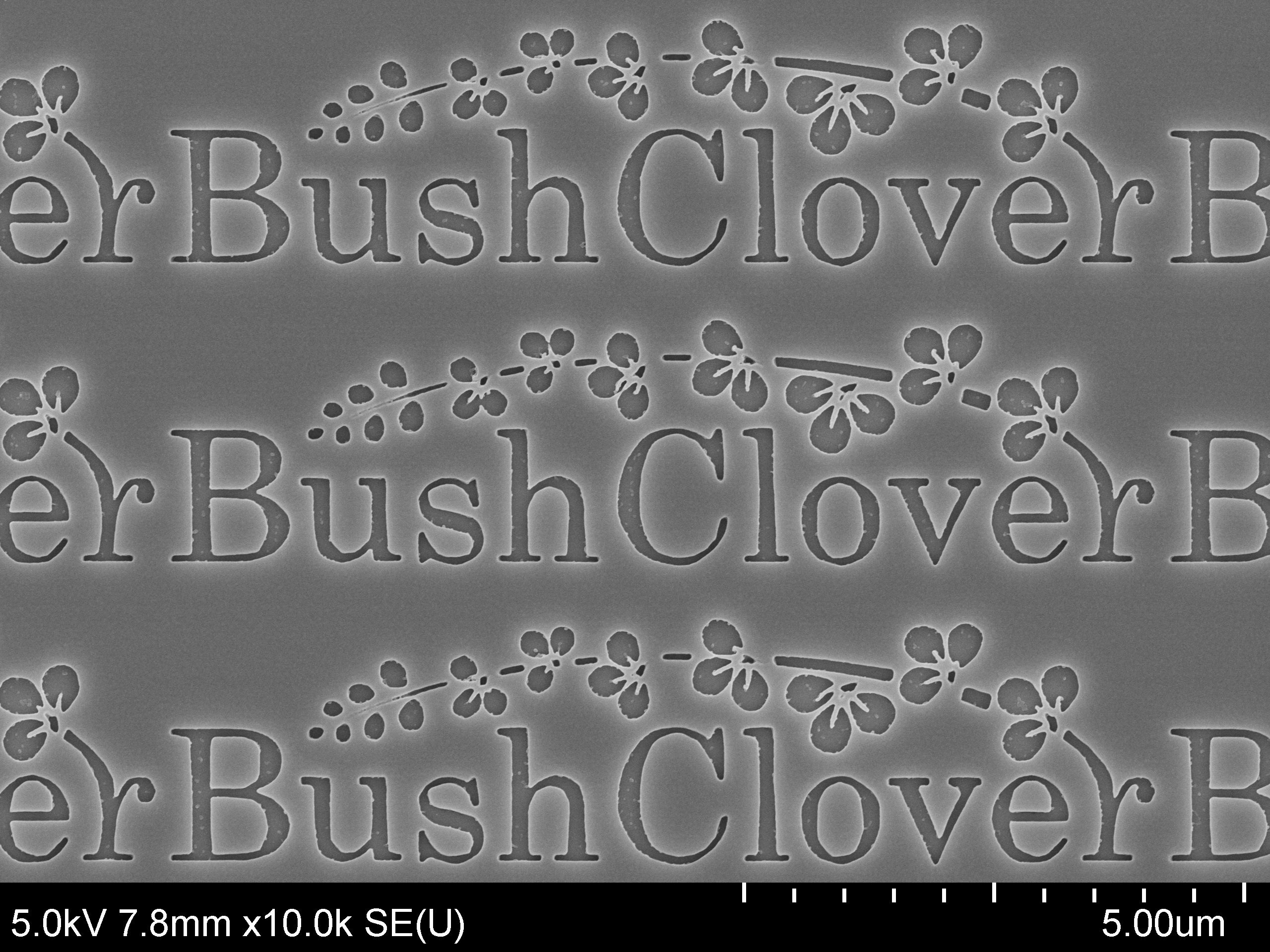電子ビーム描画によるBush Cloverロゴの微細パターン